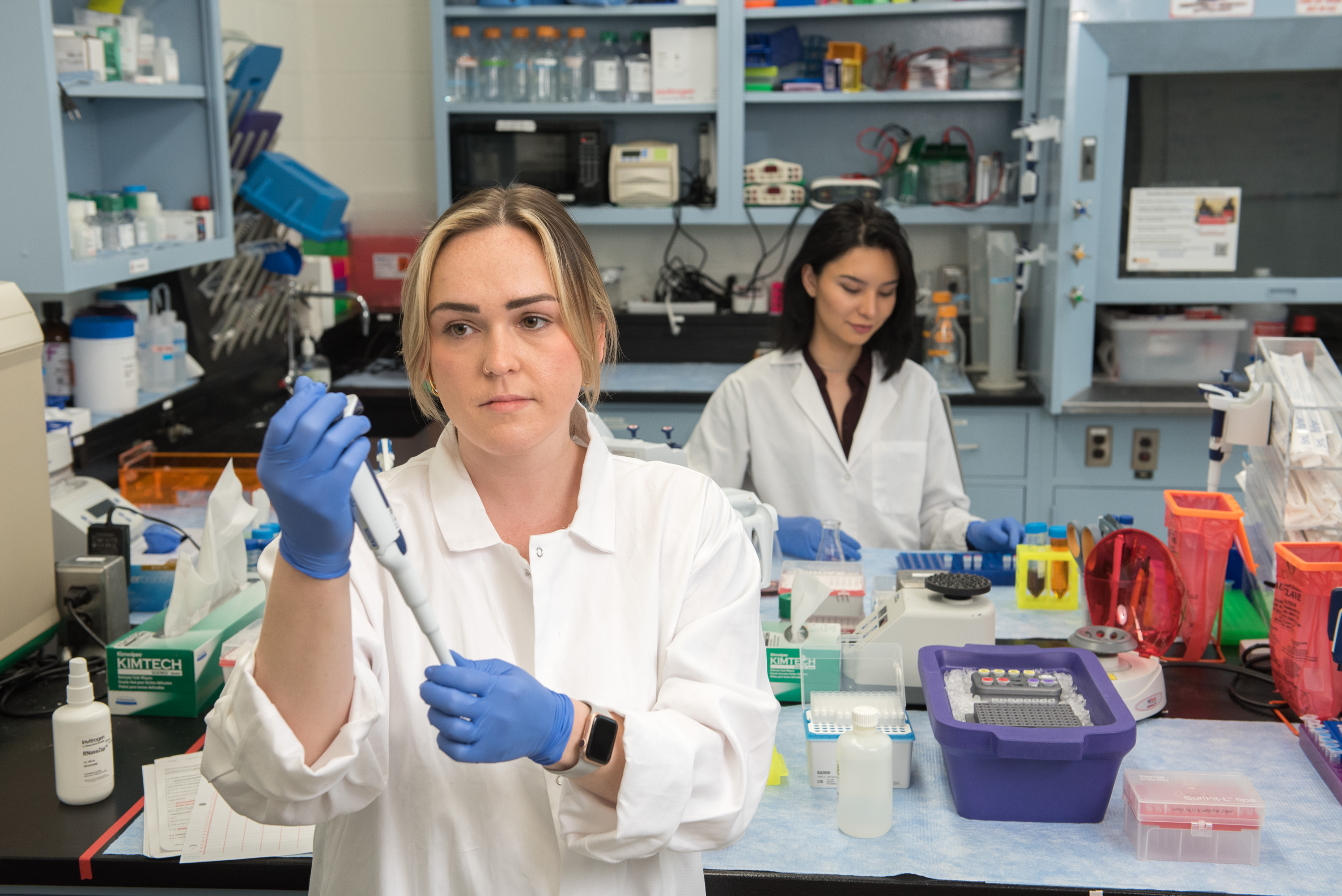 Researchers in Johnson Lab